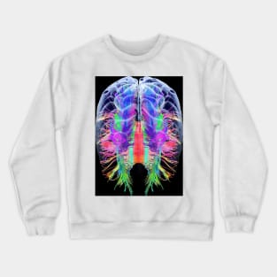 White matter fibres and brain, artwork (C015/1936) Crewneck Sweatshirt